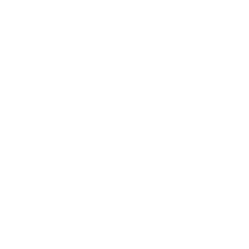 03 PUMA.png